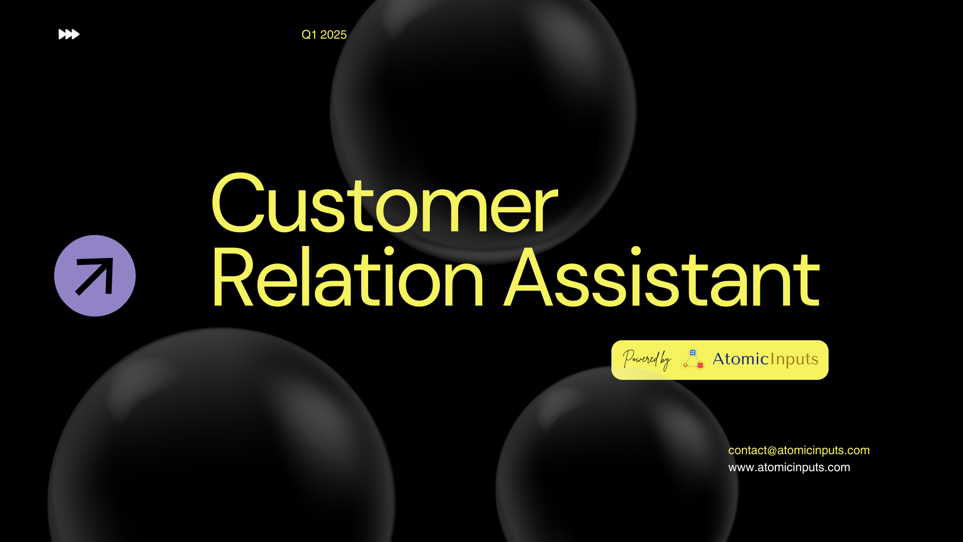 Vision: Customer Relations Assistant